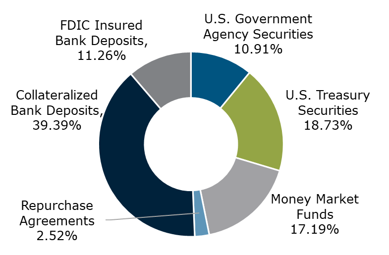 02.22 - Texas CLASS Government Portfolio Breakdown