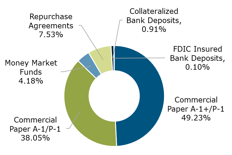 02.22 - Texas CLASS Portfolio Breakdown