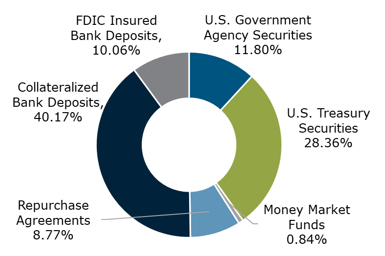 03.22 - Texas CLASS Government Portfolio Breakdown