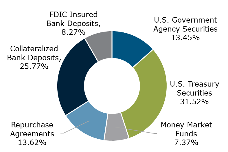 04.22 - Texas CLASS Government Portfolio Breakdown