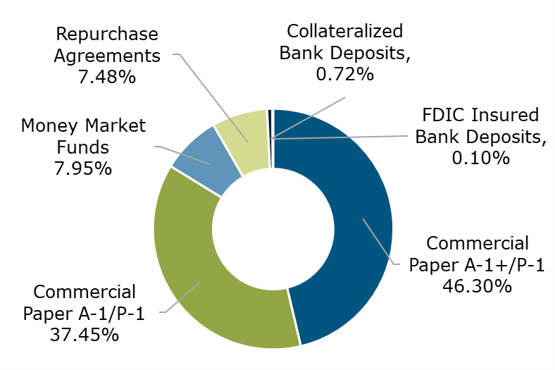 04.22 - Texas CLASS Portfolio Breakdown