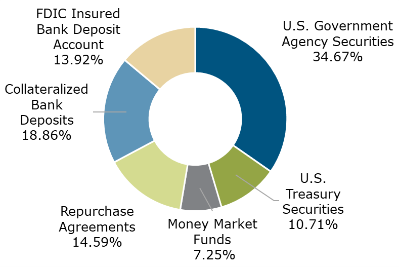 06.23 - Texas CLASS Government Portfolio Breakdown